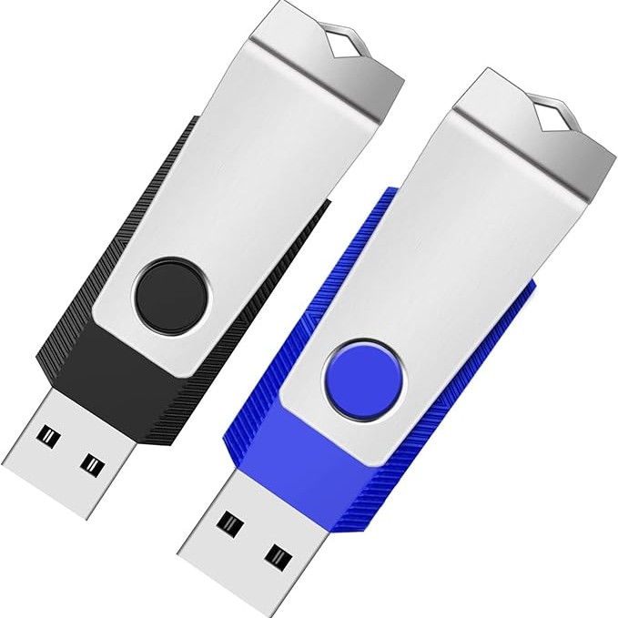 FLASH DISK (2GB)